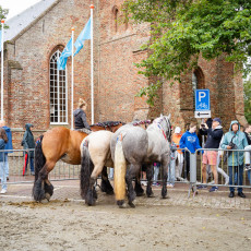Ring Riding Domburg  2023 - 03