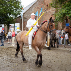 Ring Riding Domburg  2023 - 05