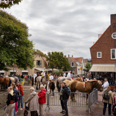 Ring Riding Domburg  2023 - 01