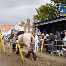 Ring Riding Domburg  2023 - 06