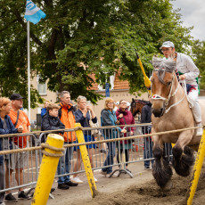 Ring Riding Domburg  2023 - 11