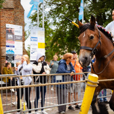 Ring Riding Domburg  2023 - 12