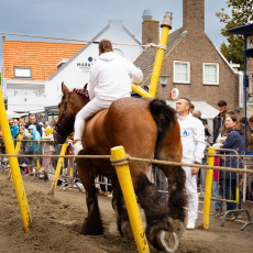 Ring Riding Domburg  2023 - 13