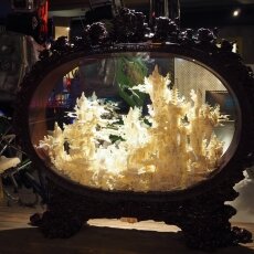 Ripley's Amsterdam 12