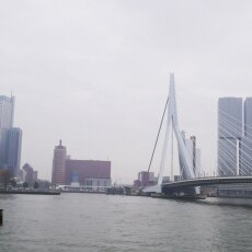First view over the Erasmus Bridge