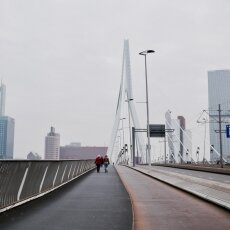 Walking on the Erasmus Bridge