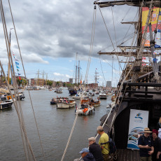 Visit to Sail Amsterdam 03