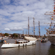 Visit to Sail Amsterdam 11