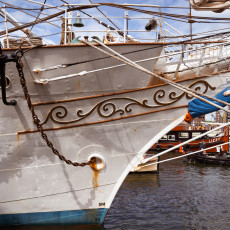 Visit to Sail Amsterdam 13