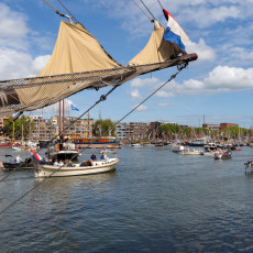 Visit to Sail Amsterdam 33