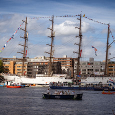 Visit to Sail Amsterdam 27