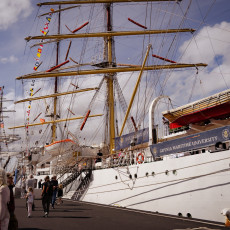 Visit to Sail Amsterdam 29