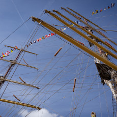 Visit to Sail Amsterdam 31