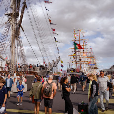 Visit to Sail Amsterdam 32