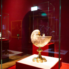 Engraved nautilus shell cup in a glass case at Het Scheepvaartmuseum
