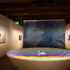 Darkened room with a wide projection basin and a painted seascape backdrop