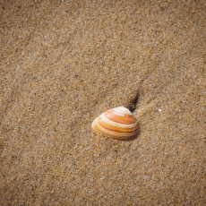 Scheveningen seaside resort 09
