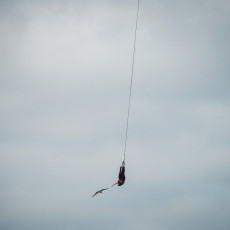 Bungy Jumping Scheveningen 2