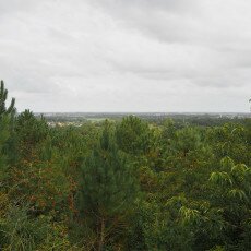 Schoorl Heather Fields 01