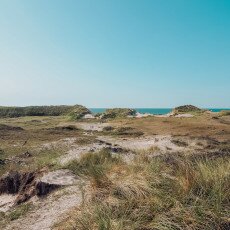 Schoorl Dunes 21