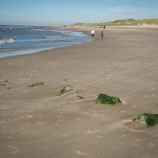 Schoorl Dunes 27