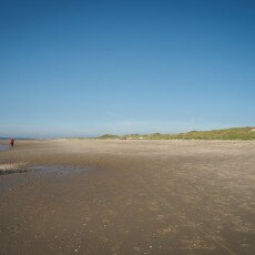Schoorl Dunes 28