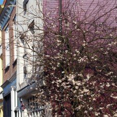 Slow pace of life 07