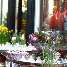 Slow pace of life 12