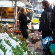 Slow pace of life 16