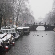 Snowing in Amsterdam 14