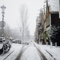 Snowing in Amsterdam 31