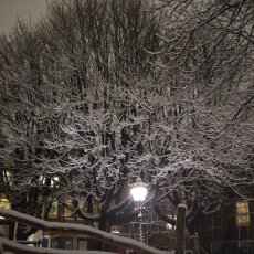 Snowy night in Amsterdam 21