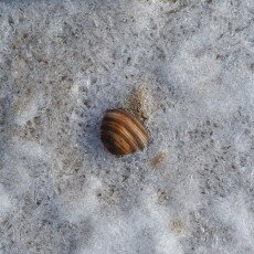 Snow on the beach 05