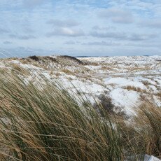 Snow on the beach 23