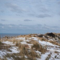 Snow on the beach 21