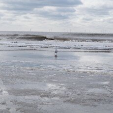 Snow on the beach 27