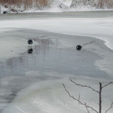 Snow and windmills 07
