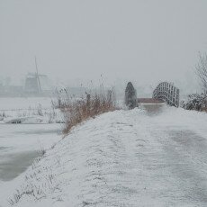 Snow and windmills 02
