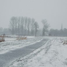 Snow and windmills 04