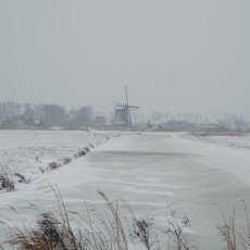 Snow and windmills 08
