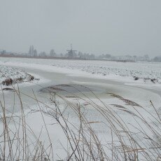 Snow and windmills 09