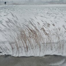 Snow and windmills 05