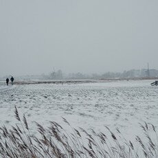 Snow and windmills 10