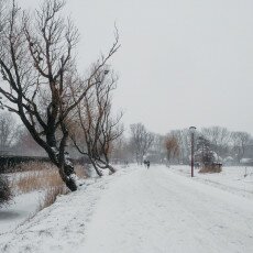 Snow and windmills 11