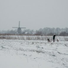 Snow and windmills 12