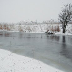 Snow and windmills 14