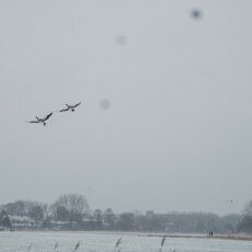 Snow and windmills 17
