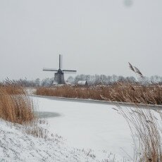Snow and windmills 18