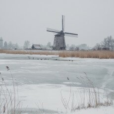 Snow and windmills 19