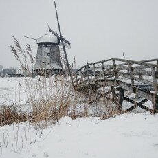 Snow and windmills 13